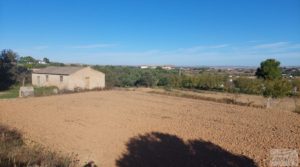 Se vende Finca de regadío en Caspe, tranquila y con buenos accesos. con regadío por 36.000€