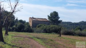 Se vende Finca en Mazaleón de olivos, almendros y huerto. con buenos accesos por 66.000€