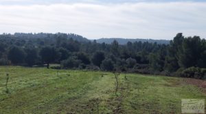 Foto de Finca en Mazaleón de olivos, almendros y huerto. con agua