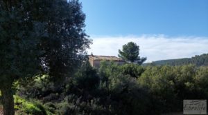 Vendemos Finca en Mazaleón de olivos, almendros y huerto. con buenos accesos