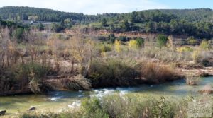 Foto de Finca en Mazaleón de olivos, almendros y huerto. en venta con buenos accesos