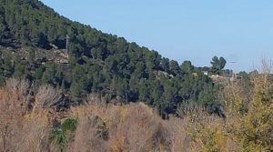 Finca en Mazaleón de olivos, almendros y huerto. para vender con agua por 66.000€