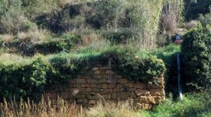 Vendemos Finca en Mazaleón de olivos, almendros y huerto. con buenos accesos