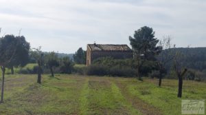 Detalle de Finca en Mazaleón de olivos, almendros y huerto. con huerto