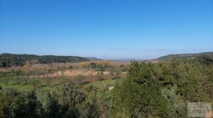 Se vende Finca en Mazaleón de olivos, almendros y huerto. con buenos accesos por 66.000€