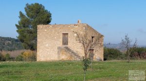 Finca en Mazaleón de olivos, almendros y huerto. para vender con huerto