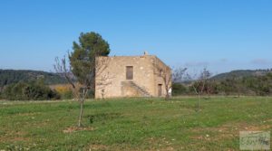 Finca en Mazaleón de olivos, almendros y huerto. para vender con buenos accesos