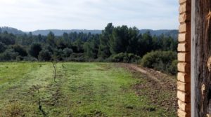 Finca en Mazaleón de olivos, almendros y huerto. en venta con buenos accesos por 66.000€