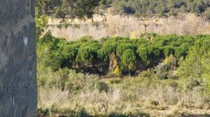 Se vende Finca en Mazaleón de olivos, almendros y huerto. con buenos accesos