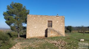 Foto de Finca en Mazaleón de olivos, almendros y huerto. en venta con agua