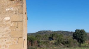 Foto de Finca en Mazaleón de olivos, almendros y huerto. en venta con buenos accesos