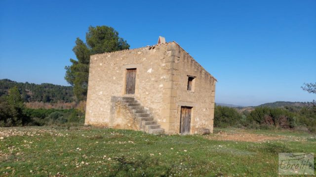 Finca en Mazaleón de olivos, almendros y huerto.