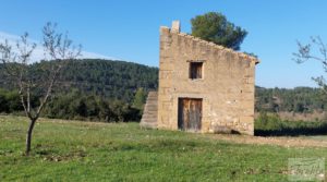 Finca en Mazaleón de olivos, almendros y huerto. en venta con huerto