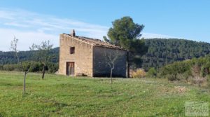 Foto de Finca en Mazaleón de olivos, almendros y huerto. en venta con buenos accesos