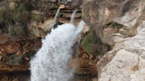 Detalle de Finca de regadío en Valderrobres, en la comarca del Matarraña. con regadío