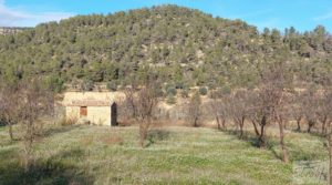 Foto de Finca de regadío en Valderrobres, en la comarca del Matarraña. en venta con regadío por 39.000€