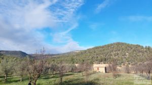 Finca de regadío en Valderrobres, en la comarca del Matarraña. a buen precio con regadío por 39.000€