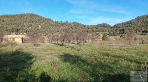 Se vende Finca de regadío en Valderrobres, en la comarca del Matarraña. con buenos accesos