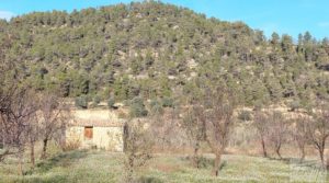 Foto de Finca de regadío en Valderrobres, en la comarca del Matarraña. en venta con buenos accesos por 39.000€