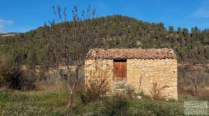 Finca de regadío en Valderrobres, en la comarca del Matarraña. en venta con regadío