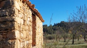 Finca de regadío en Valderrobres, en la comarca del Matarraña. para vender con regadío