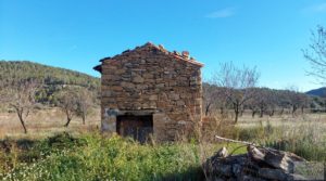 Finca de regadío en Valderrobres, en la comarca del Matarraña. para vender con buenos accesos por 39.000€