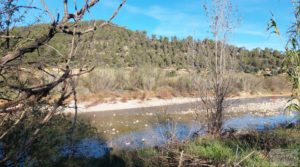 Finca de regadío en Valderrobres, en la comarca del Matarraña. a buen precio con regadío por 39.000€