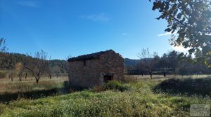 Foto de Finca de regadío en Valderrobres, en la comarca del Matarraña. en venta con regadío