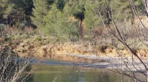 Finca de regadío en Valderrobres, en la comarca del Matarraña. en venta con regadío