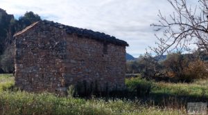 Se vende Finca de regadío en Valderrobres, en la comarca del Matarraña. con regadío por 39.000€