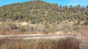 Se vende Finca de regadío en Valderrobres, en la comarca del Matarraña. con buenos accesos