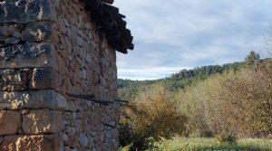 Finca de regadío en Valderrobres, en la comarca del Matarraña. en venta con regadío