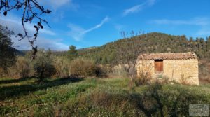 Finca de regadío en Valderrobres, en la comarca del Matarraña. a buen precio con regadío por 39.000€