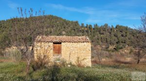 Finca de regadío en Valderrobres, en la comarca del Matarraña. para vender con buenos accesos por 39.000€