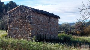 Detalle de Finca de regadío en Valderrobres, en la comarca del Matarraña. con buenos accesos