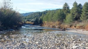 Foto de Finca de regadío en Valderrobres, en la comarca del Matarraña. en venta con buenos accesos