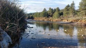 Finca de regadío en Valderrobres, en la comarca del Matarraña. en oferta con regadío por 39.000€