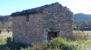 Finca de regadío en Valderrobres, en la comarca del Matarraña. en venta con buenos accesos