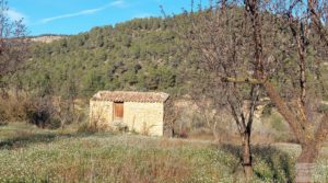 Se vende Finca de regadío en Valderrobres, en la comarca del Matarraña. con regadío por 39.000€