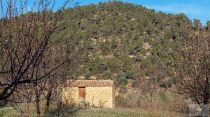 Foto de Finca de regadío en Valderrobres, en la comarca del Matarraña. con regadío por 39.000€