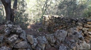 Finca trufera en Monroyo, comarca del Matarraña. para vender con riego por microaspersión