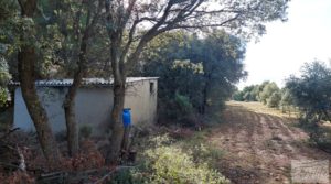 Finca trufera en Monroyo, comarca del Matarraña. en oferta con riego por microaspersión por 76.000€