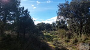 Finca trufera en Monroyo, comarca del Matarraña. en venta con riego por microaspersión