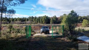 Finca trufera en Monroyo, comarca del Matarraña. a buen precio con riego por microaspersión por 76.000€