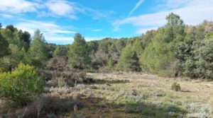 Detalle de Finca en Fuentespalda. con buenos accesos