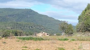 Vendemos Finca en Fuentespalda. con buenos accesos