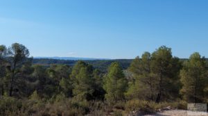 Vendemos Finca en Mazaleón, comarca del Matarraña.