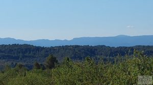 Se vende Finca en Mazaleón, comarca del Matarraña.