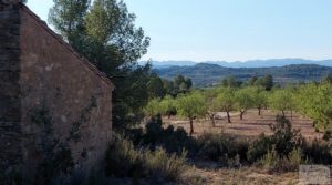 Vendemos Finca en Mazaleón, comarca del Matarraña.