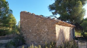 Detalle de Finca en Mazaleón, comarca del Matarraña.